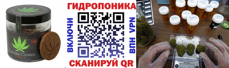 ОМГ ОМГ ссылка  Спас-Деменск  Canna-Cookies конопля 