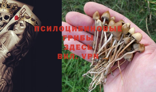 дмт Остров
