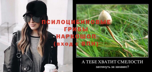 гидропоника Армянск